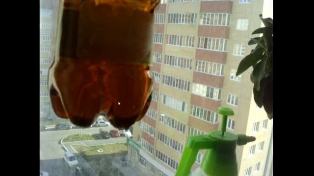 автоматический полив комнатных растений проще не куда