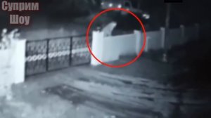 ЛЕОПАРД ПРОТИВ СОБАК! Леопард нападает на собак. Леопард в деле ЧАСТЬ 5