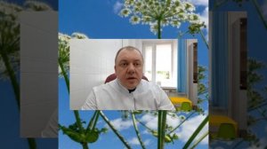 Борщевик, первая помощь при ожогах.