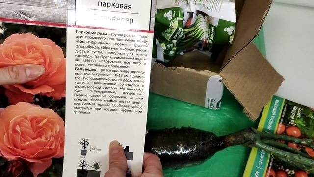 Обзор посылки из интернет-магазина 
