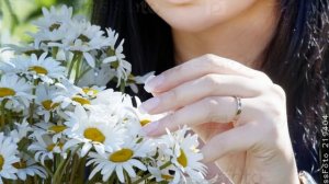 Ромашки,ромашки,ромашки