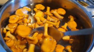 Соленые лисички | Быстрый и вкусный рецепт
