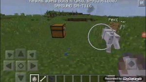 Minecraft #3 (2 части) 1-как сделать собаку с именем,2-как покрасить ошейник собаке