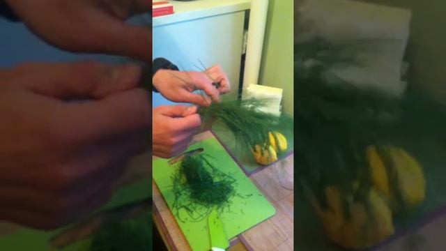Приготовление природного энергетика из кедровых иголок!!