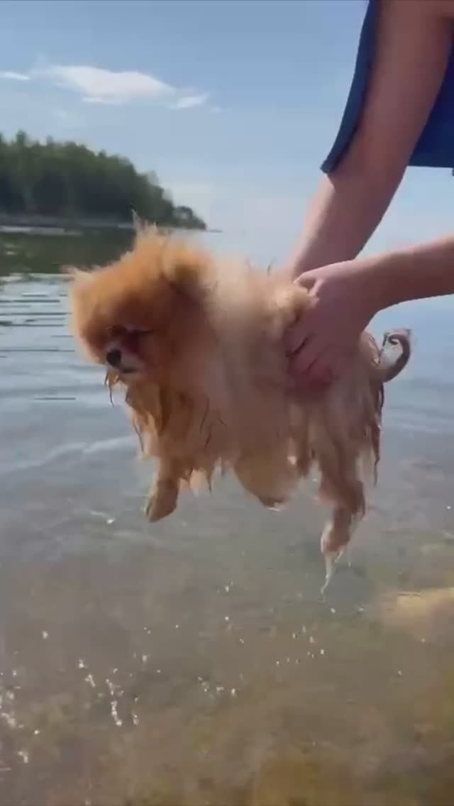 День на Финском заливе