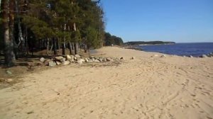 Бухта Коприно Buhta Koprino пляж.