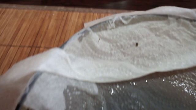 lexus RX300. Чистим форсунки омывателя лобового стекла. смотреть онлайн