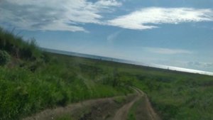 Отдых и рыбалка на море. Как ловят червя для пеленгаса Червяк Нереиз как выглядит червь наживка