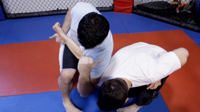 Hapkido Revival Techniques : Mixed Martial Arts & Wrestling смотреть онлайн
