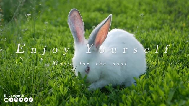 Успокаивающая музыка лечит сердце и успокаивает нервную систему? Музыка для души и расслабления #29 смотреть онлайн