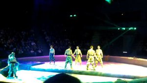 АКРОБАТЫ НА АРЕНЕ ЦИРК