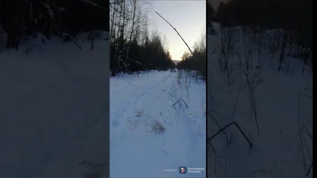 ВЕЗДЕХОД БОРУС ПО СНЕГУ, ТЕСТ ДРАЙВ . смотреть онлайн