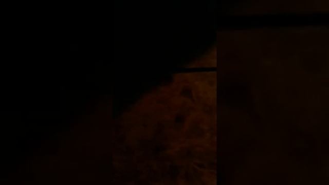 Как сделать дракона из картона смотреть онлайн