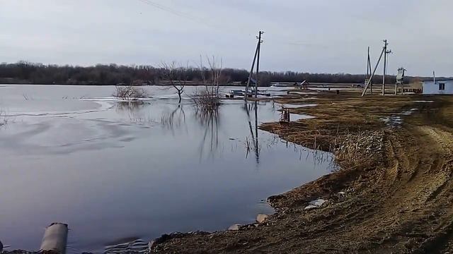 пруд Черноморец 05.03.17г смотреть онлайн