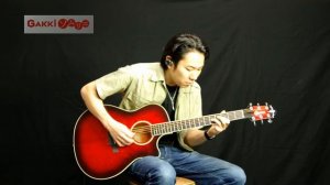 【GAKKIソムリエ/試奏動画】CRAFTER WB-400CE