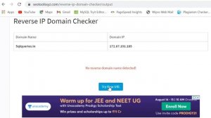 Reverse IP Domain Checker | SEO Tools XYZ