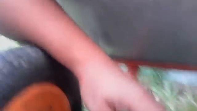 Ремонт тачки садовой
