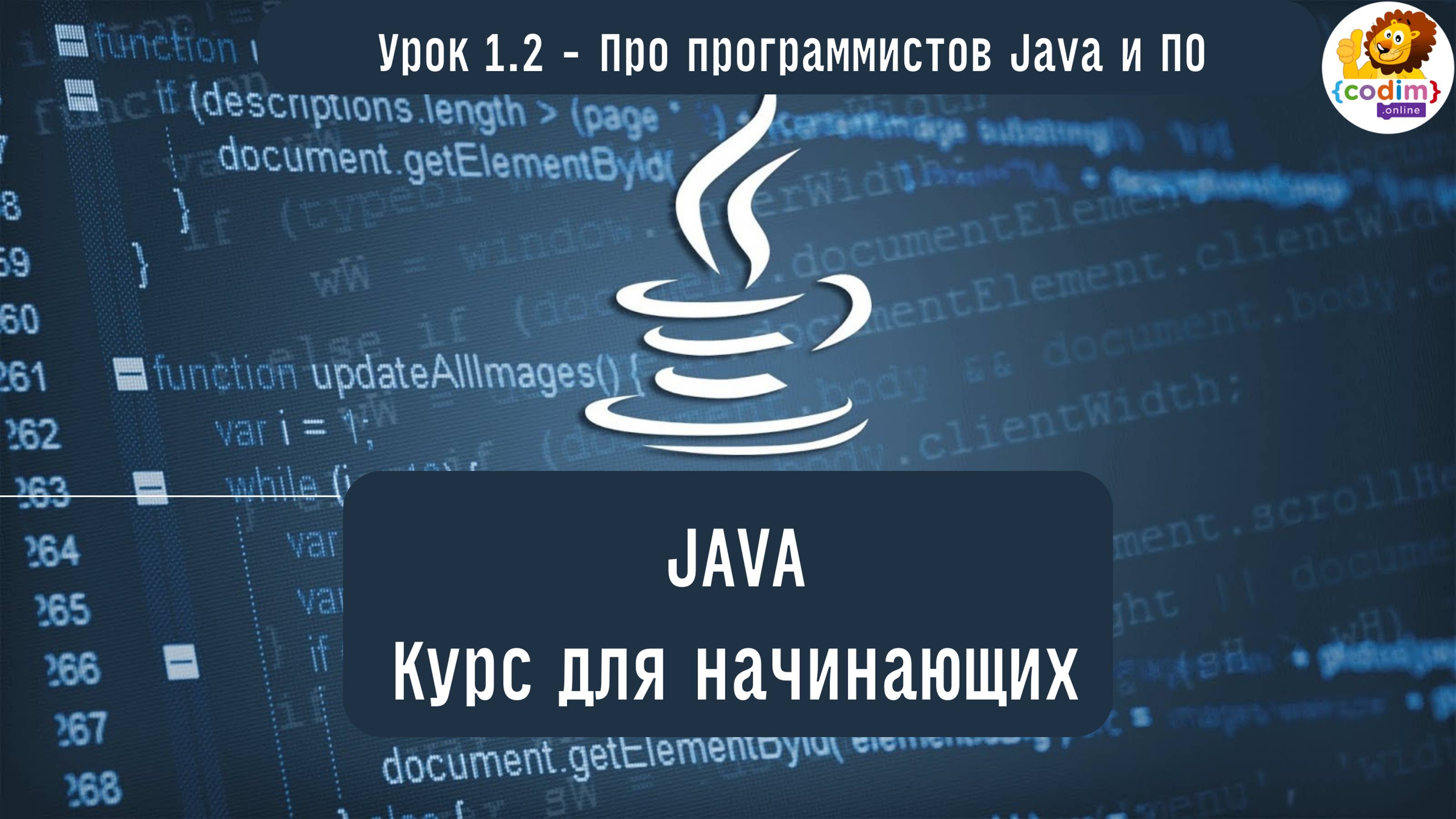 #Java Урок1.2 Про программистов Java и ПО. Видеоуроки с нуля для детей 12 лет от школы Codim.Online смотреть онлайн