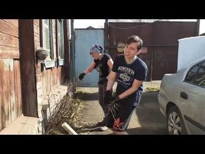 389/♥️Иришкины Истории ♥️Субботник.Именинник.