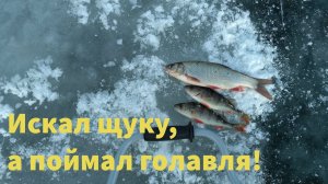 Искал щуку, а поймал голавля! Ноябрьская рыбалка на реке Сок у села Лебяженка
