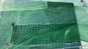 ЗАРАБОТОК НА ЖИВОМ КОРМЕ, БАНАНОВЫЙ СВЕРЧОК. 1 ЧАСТЬ!