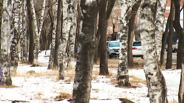 «ГСТК» подарит Благовещенску подарок ценой почти в 1,5 миллиона рублей