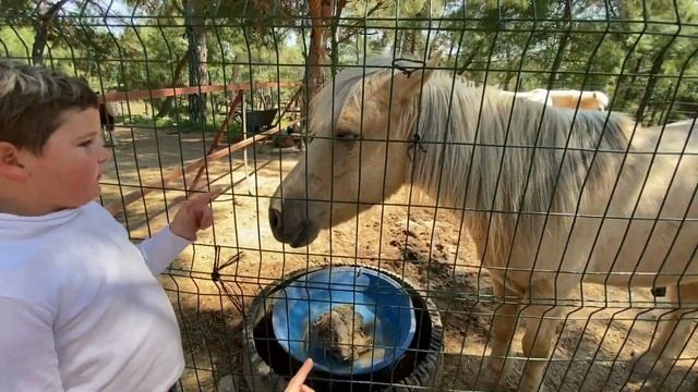 ОТДЫХ В ТУРЦИИ с ДЕТЬМИ: ПАРК В АНТАЛИИ ФАНТАСТИК ТУРЦИЯ 2021 ТУРЦИЯ САМОСТОЯТЕЛЬНО смотреть онлайн