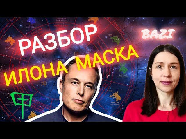 Разбор БАЦЗЫ Илона Маска. Как Дерево Дзя стал богатейшим человеком планеты.
