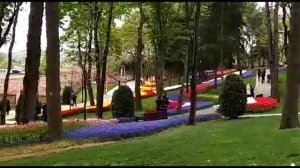 Фестиваль тюльпанов в Стамбуле. Парк Эмирган. (Tulip Festival in Emirgan Park, Istanbul)