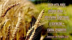 Давят, но не задавят. Долготерпим, как наш Господь Бог. Аминь.Тлеющие христиане - суть плевелы.