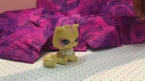 LPS//Что я положу в посылку каналу\\ Для Elen & Pet Shops \\ Littlest Pet Shops