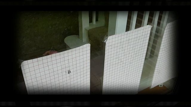 Развивающее занятие с малышом: осенние деревья смотреть онлайн