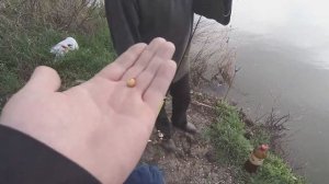 РЫБАЛКА РЕКА КИРПИЛИ ТИМАШЕВСКИЙ РАЙОН ХУТОР КРУПСКОЙ
