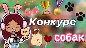 Конкурс для собачек 🐶💗 _ Toca Boca World _ тока бока _ toca boca _ Secret Toca