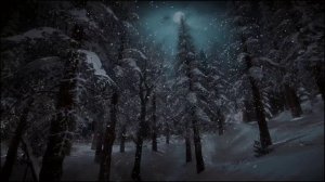 Зимний ветер со снегом ASMR в ночном лесу звуки которых помогут вам избавится от бессонницы