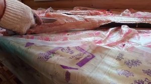 Разделка Сома. Для холодного копчения и шашлыка