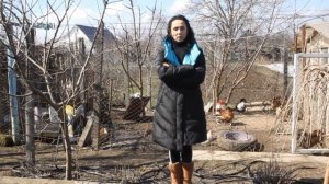 Чтобы куры неслись... Редбро.