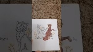 Обзор на скетчбук #1 | Коты Воители | Фурри | Люди | Болею |