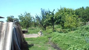 Станица Незамаевская в июне, красота...