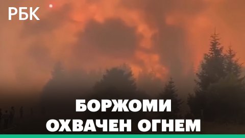 В Грузии горит лес в курортном районе Боржоми — к тушению привлекли военных