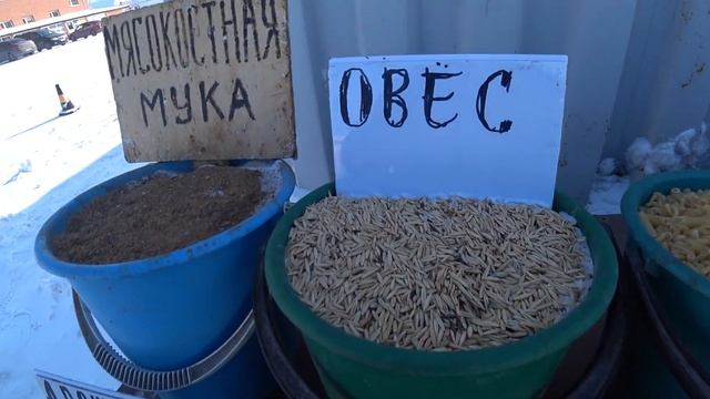 Семена льна вижу впервые  | Михайловский рынок Караганды