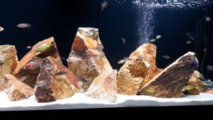 Аулунокары. 500 л. На 1 окт 17.