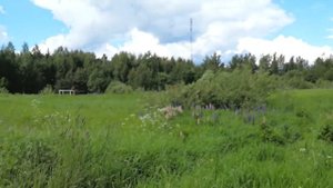 Посёлок Ашукино. Иду на ж/д станцию (16.06.2022)