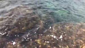 Аномальная жара! Погода в конце октября в Крыму. Рай для туриста крым.