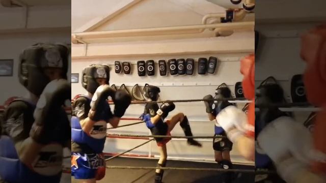 Кудо против тайского бокса ? смотреть онлайн