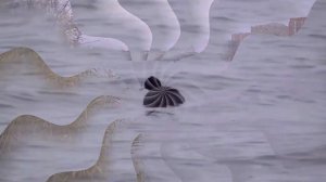 Северное водохранилище, г. Ростов-на-Дону.