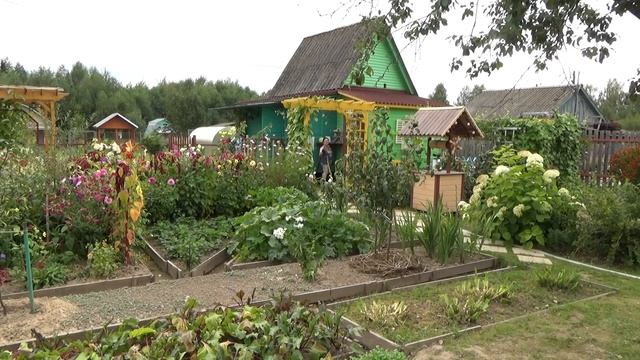 6 соток 24 августа. смотреть онлайн