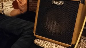 Yerasov Gavrosh 8 avito preview
