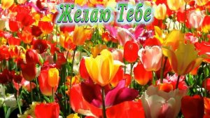 С Днём Рождения Ясмина