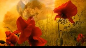 Осенний ретро блюз...Стихи Лидия Таганова, муз  и исп  Самуил Фрумович